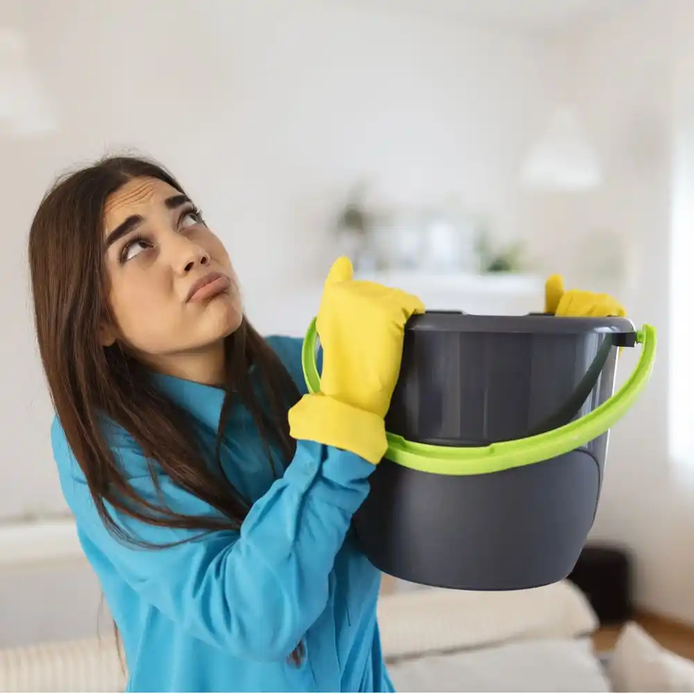 water damage restoration service St. Louis Park
